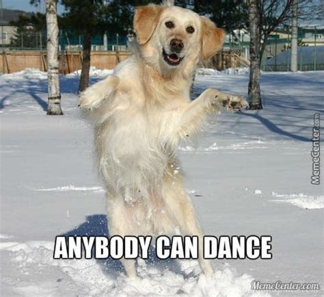 dancing dog meme|dancing dog pics.